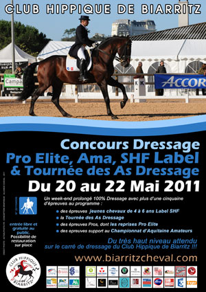 dressage