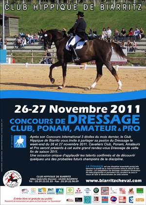 dressage