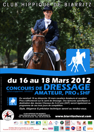 dressage