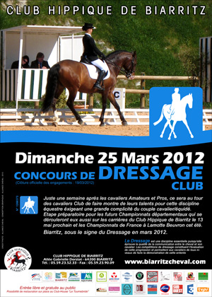 dressage
