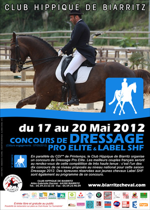 dressage