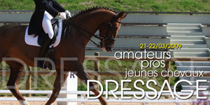dressage