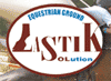 LASTIK Solutions