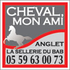 CHEVAL MON AMI