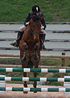dressage